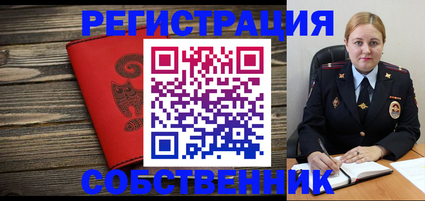 временная регистрация в Чапаевске